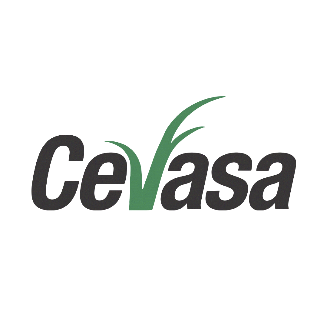 cavasa